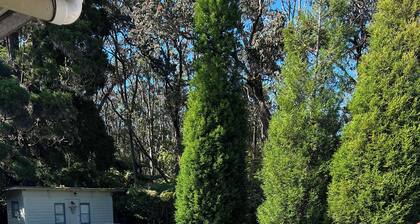 Aloha Junction Guesthouse Suites, stay and explore Kilauea Volcano Hawaii