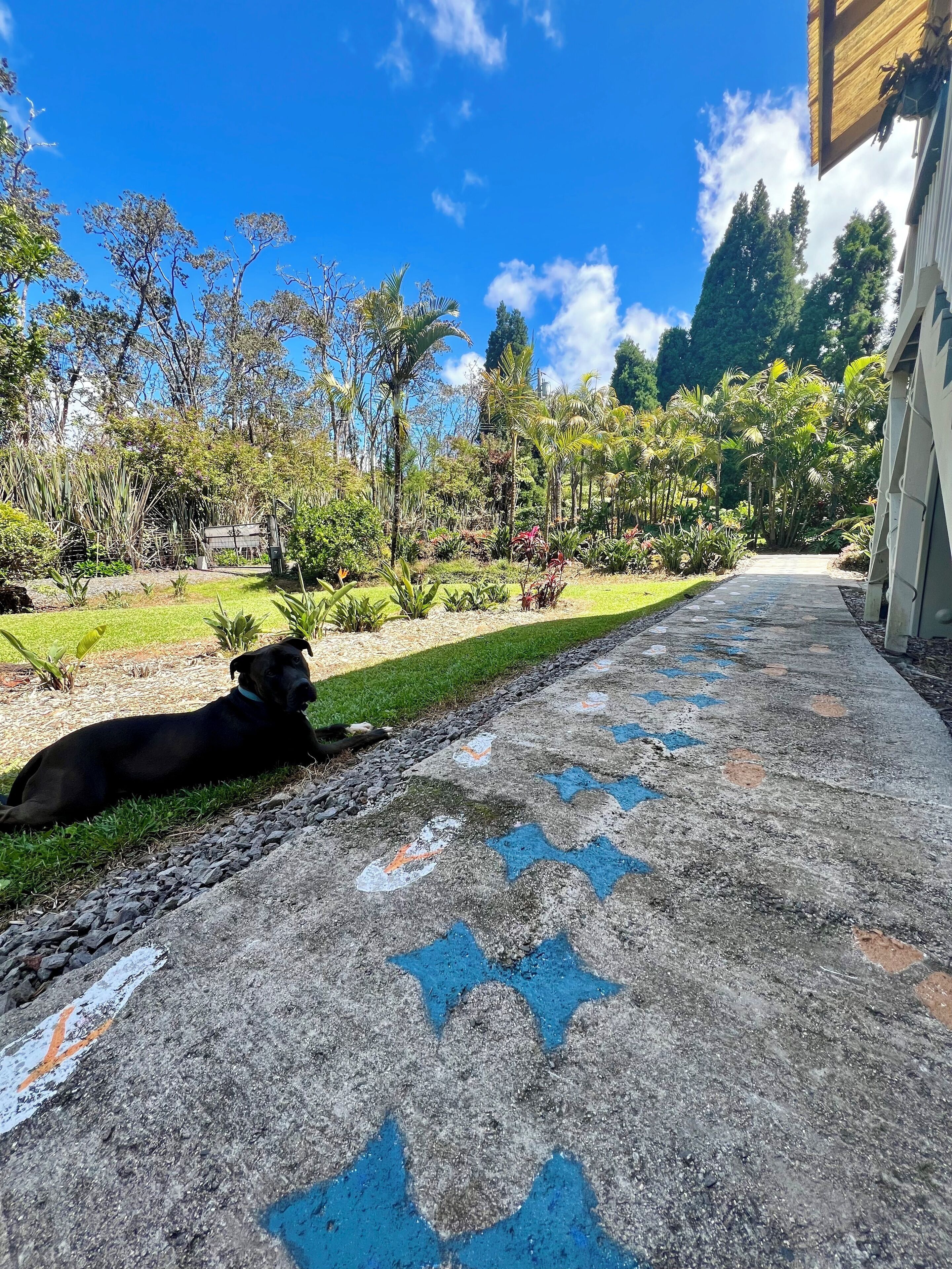Overnattingsstedets uteområder