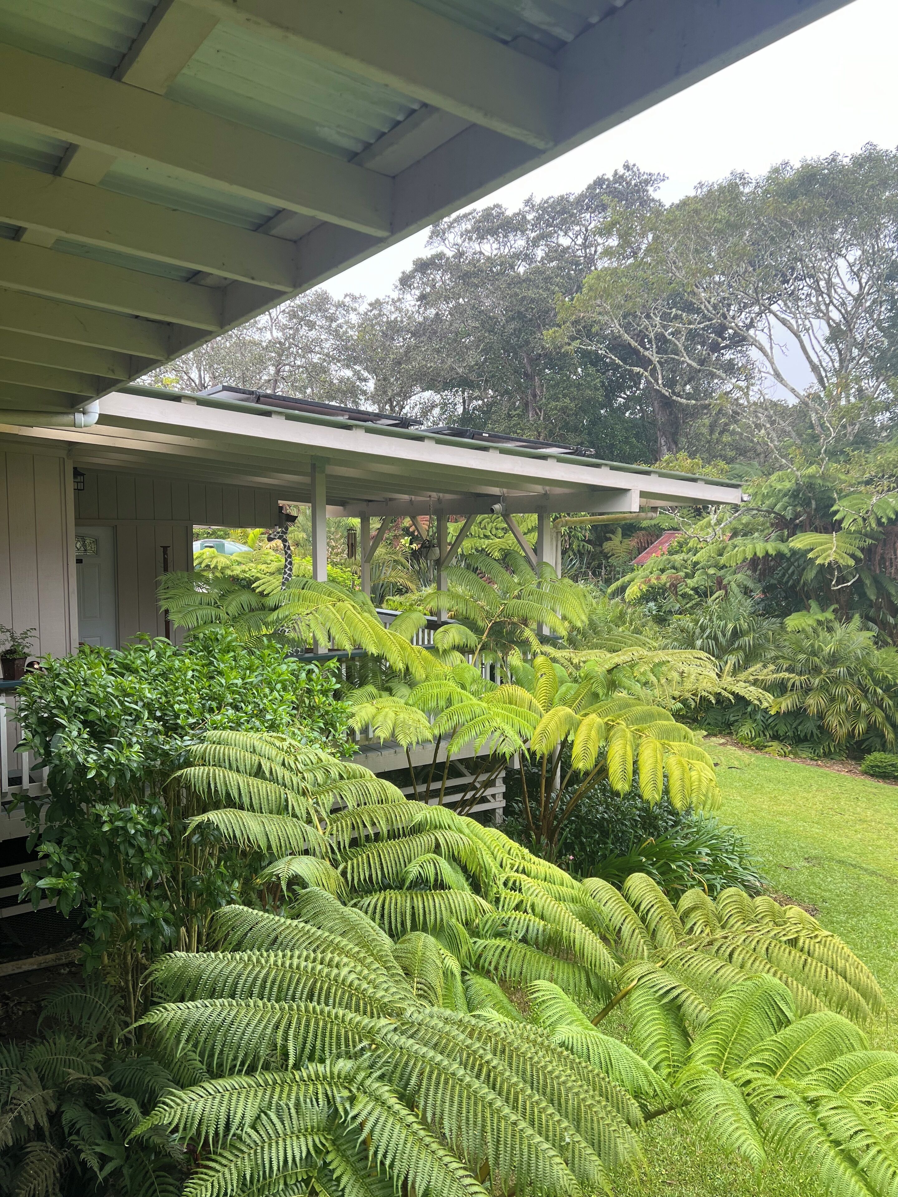 Overnattingsstedets uteområder