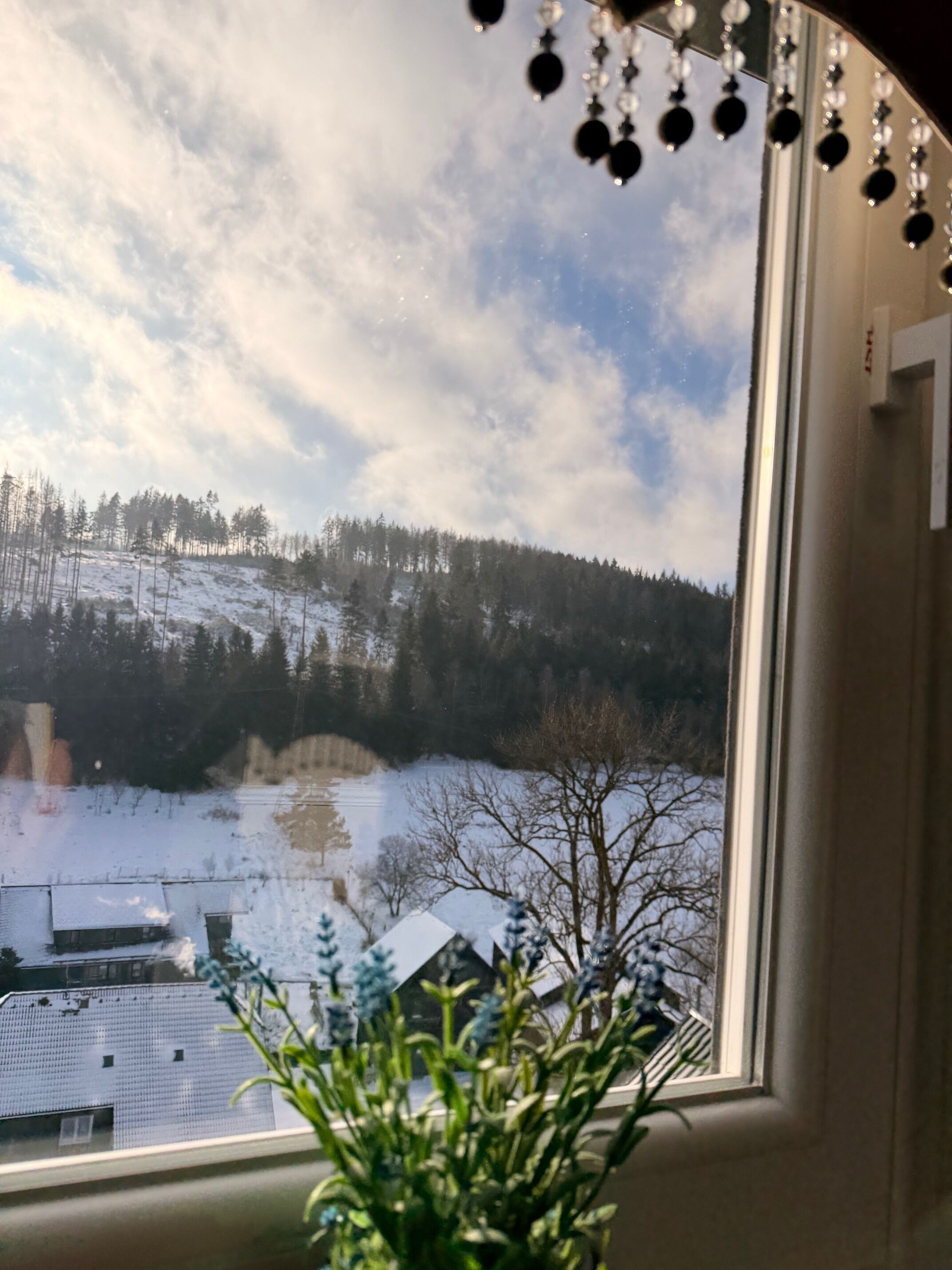 Uitzicht op een besneeuwd landschap met een meer, bomen en gebouwen, zichtbaar door een raam.