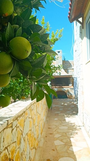 Property grounds - Cozy and luxury by the sea with spectacular view. Family sized with bbq and yard (Q349+FH Kalyvia Thorikou, Greece)