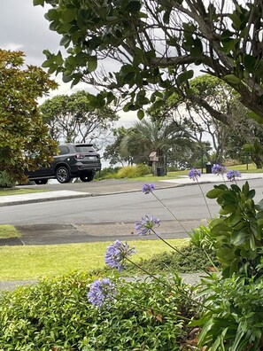 Property grounds - Quiet restful unit with seaviews (Whangaparaoa)