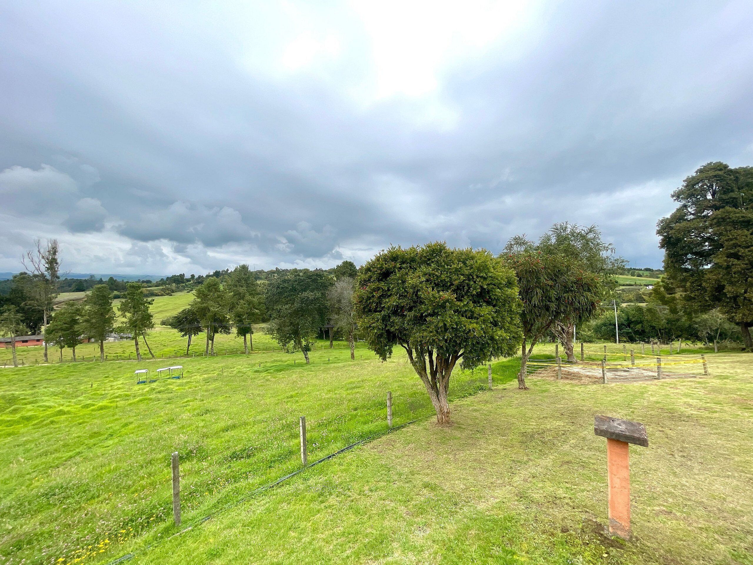 A grassy field with trees and a stone structure.