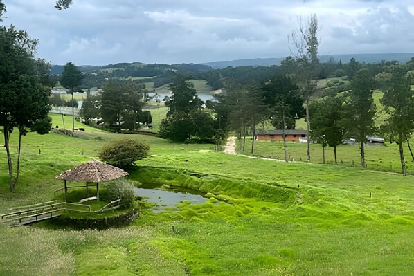 A rural landscape with a pond, a wooden bridge, and a building in the distance.
