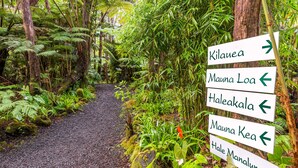 A forest path with directional signs pointing to various destinations. - Rainforest Retreat in Volcano Village (Volcano)