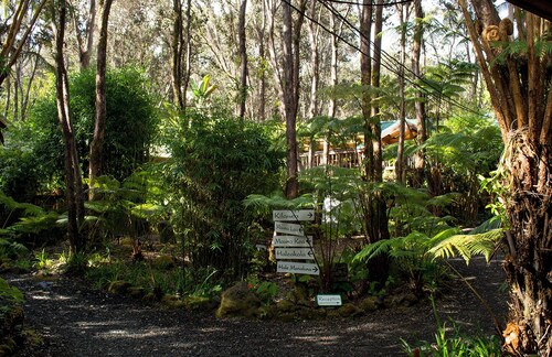 Rainforest Retreat near Hawaii Volcanoes National Park