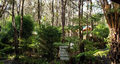 Rainforest Retreat near Hawaii Volcanoes National Park