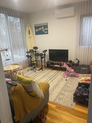 Smart TV, DVD player, books, music library