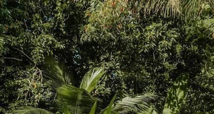 Casa Nostra Trancoso