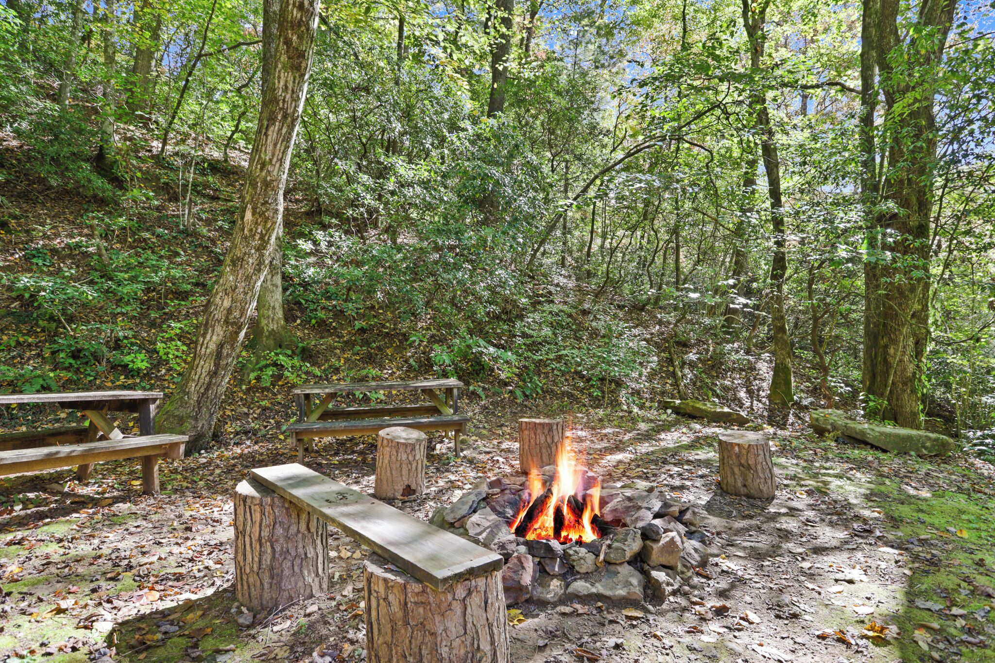 Ein Waldcampingplatz mit Feuerstelle, umgeben von Bänken und Picknicktischen.