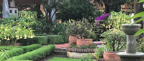 Parco della struttura