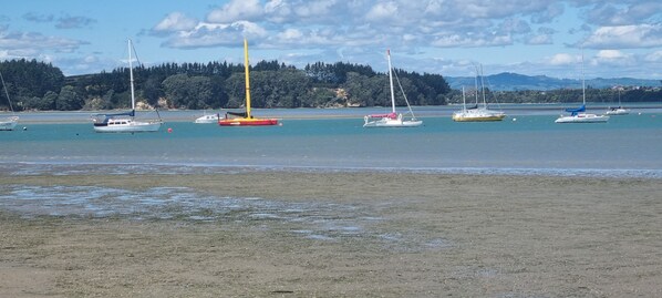 Beach towels - Pretty as a Picture (Omokoroa)