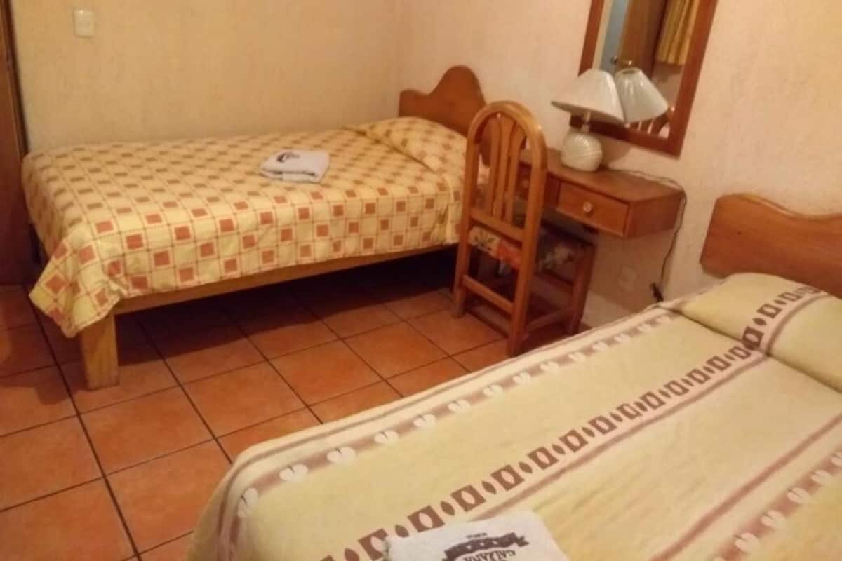Habitación de hotel con dos camas individuales, una silla de madera, una mesita de noche con lámpara y un espejo en la pared.