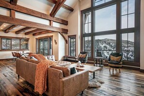 TV, fireplace, offices