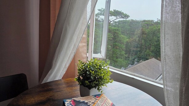 Een kamer met een ronde houten tafel, een bloempot en een boek.