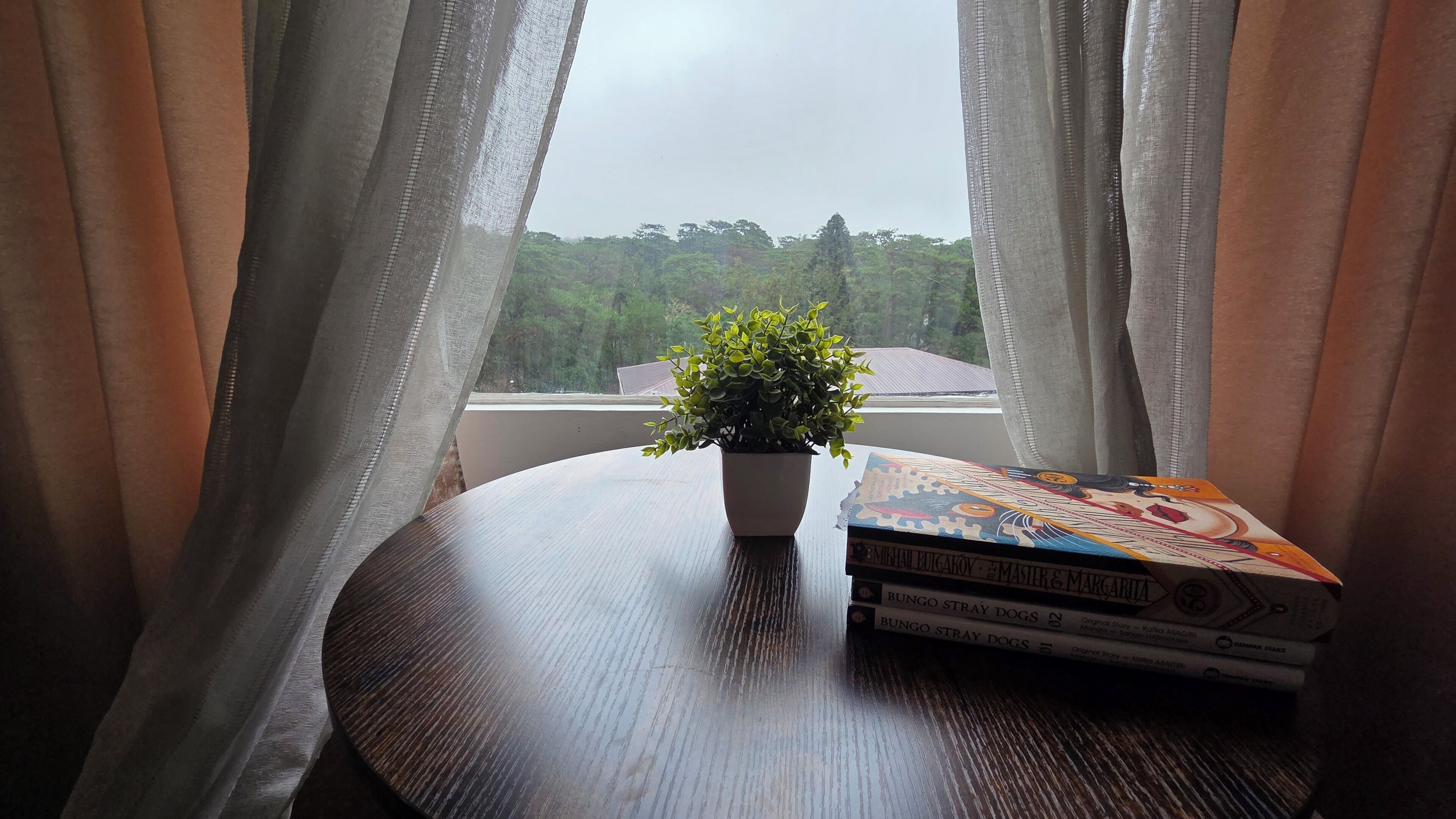 Una mesa redonda de madera con una planta en maceta y una pila de libros.