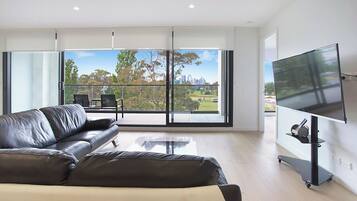 Smart TV, computer monitors