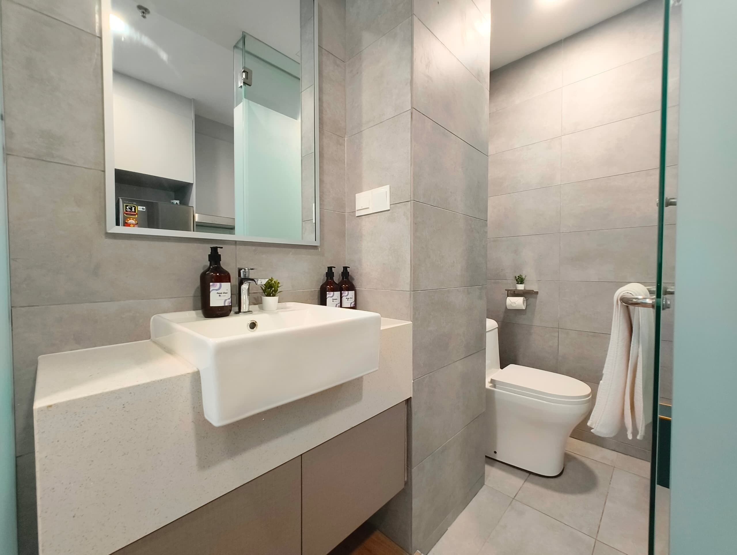 Une salle de bain moderne avec un lavabo blanc, deux bouteilles de savon, une petite plante en pot et des toilettes.