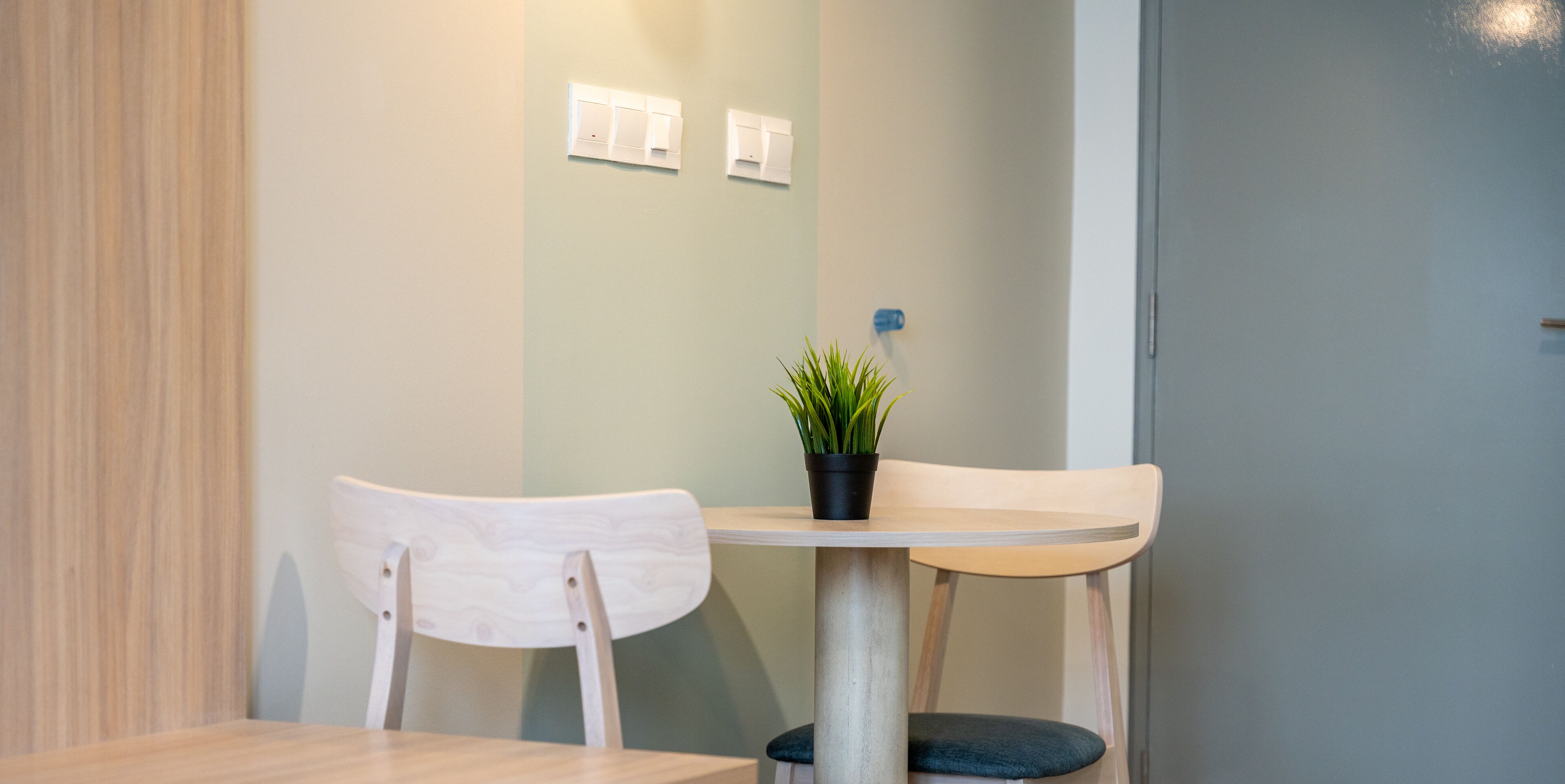 A dining area with a table and two chairs, a potted plant on the table, and light-colored walls.