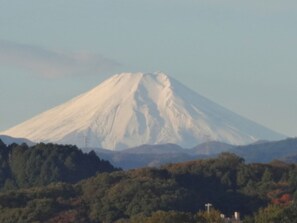 Miscellaneous - Twin B Smoking Room only planDirectly connecte / Hanno Saitama (Hanno)