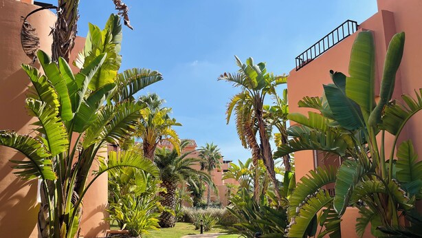 A pathway flanked by banana trees and palm trees, leading to a building with a pink facade. - Mediterranean View, in Mar Menor Golf Resort (Torre Pacheco)