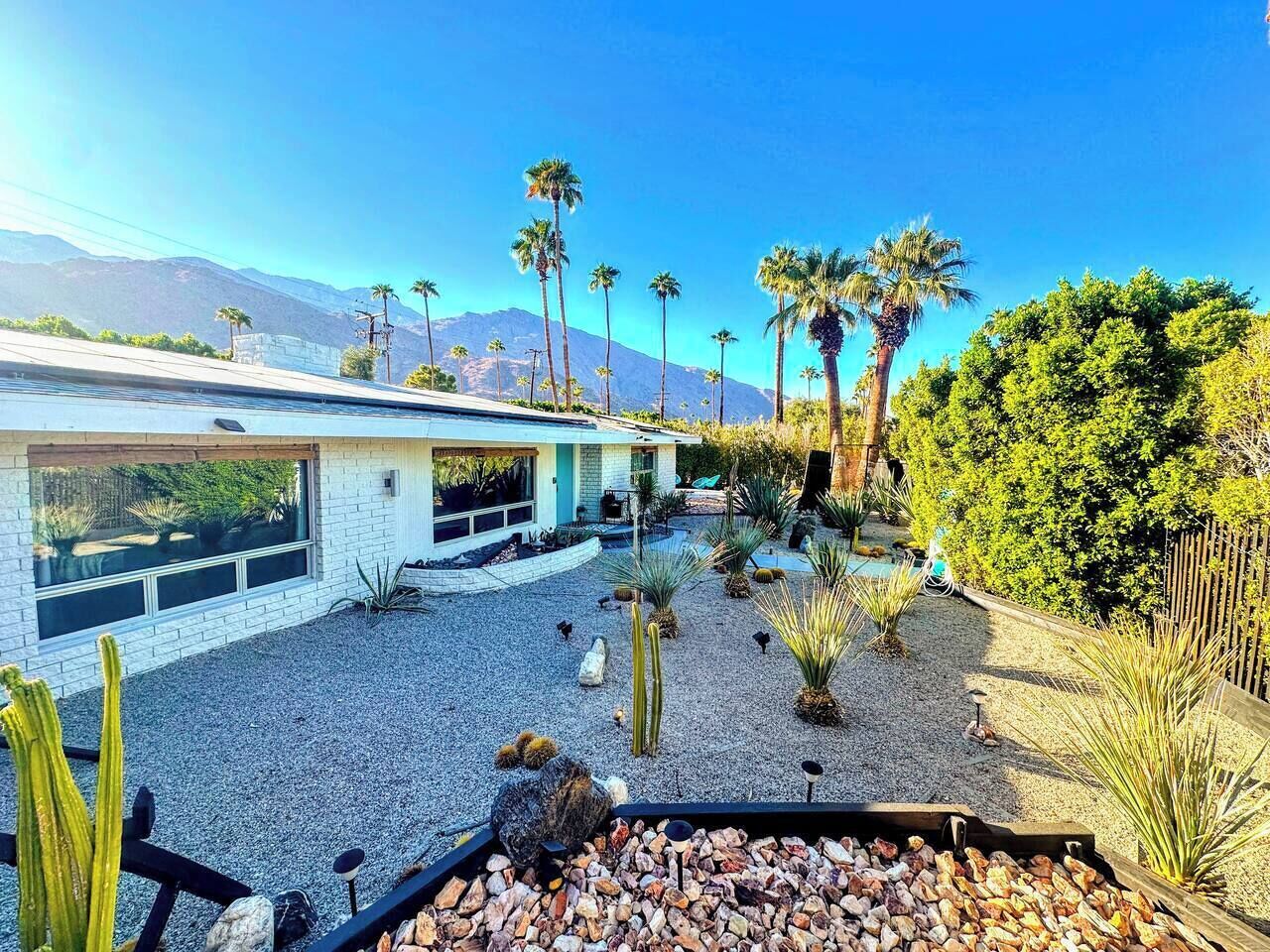 Una casa moderna con un patio que incluye cactus, palmeras y una piscina.