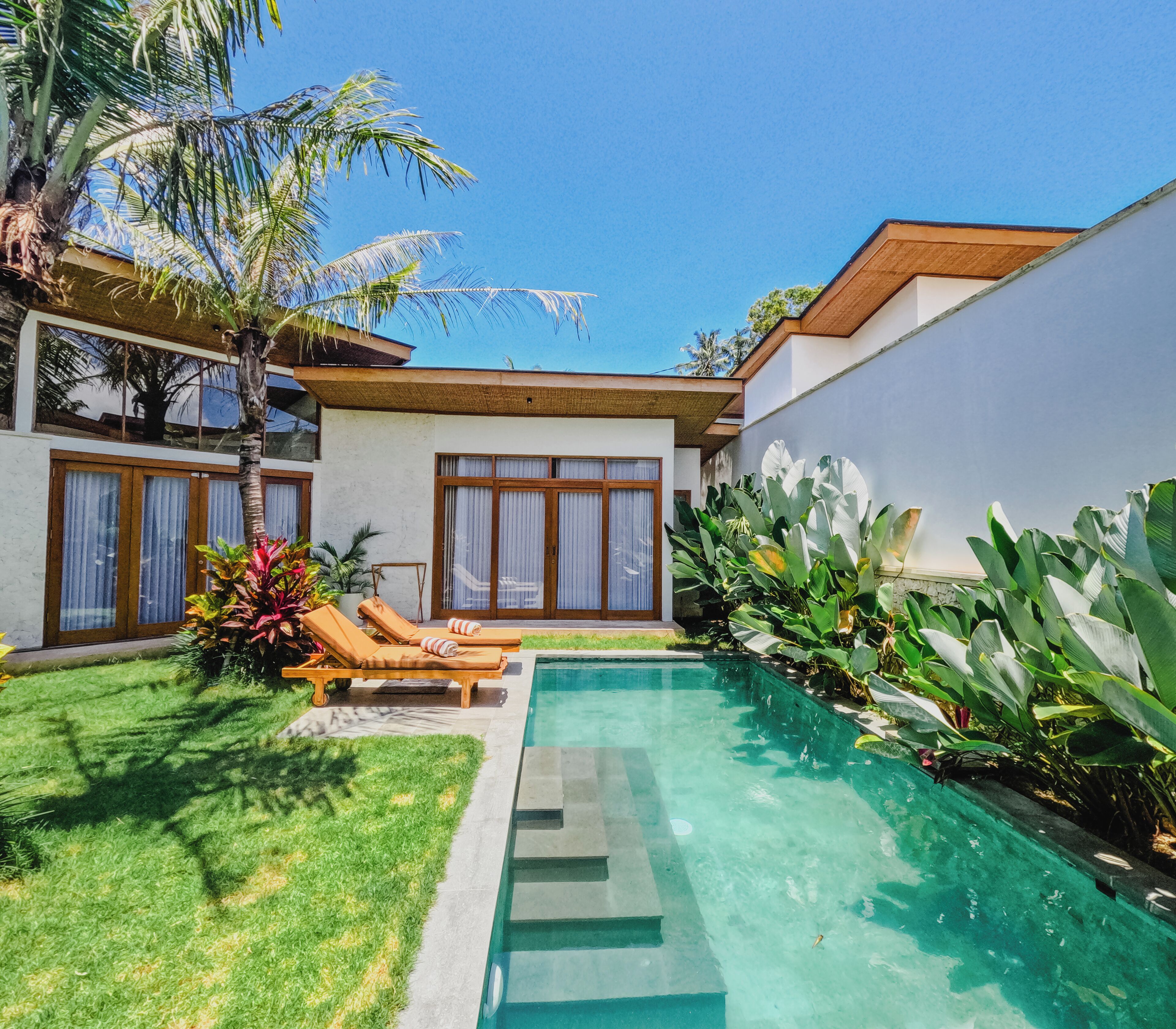 A modern house with a swimming pool, a lawn, and tropical plants.