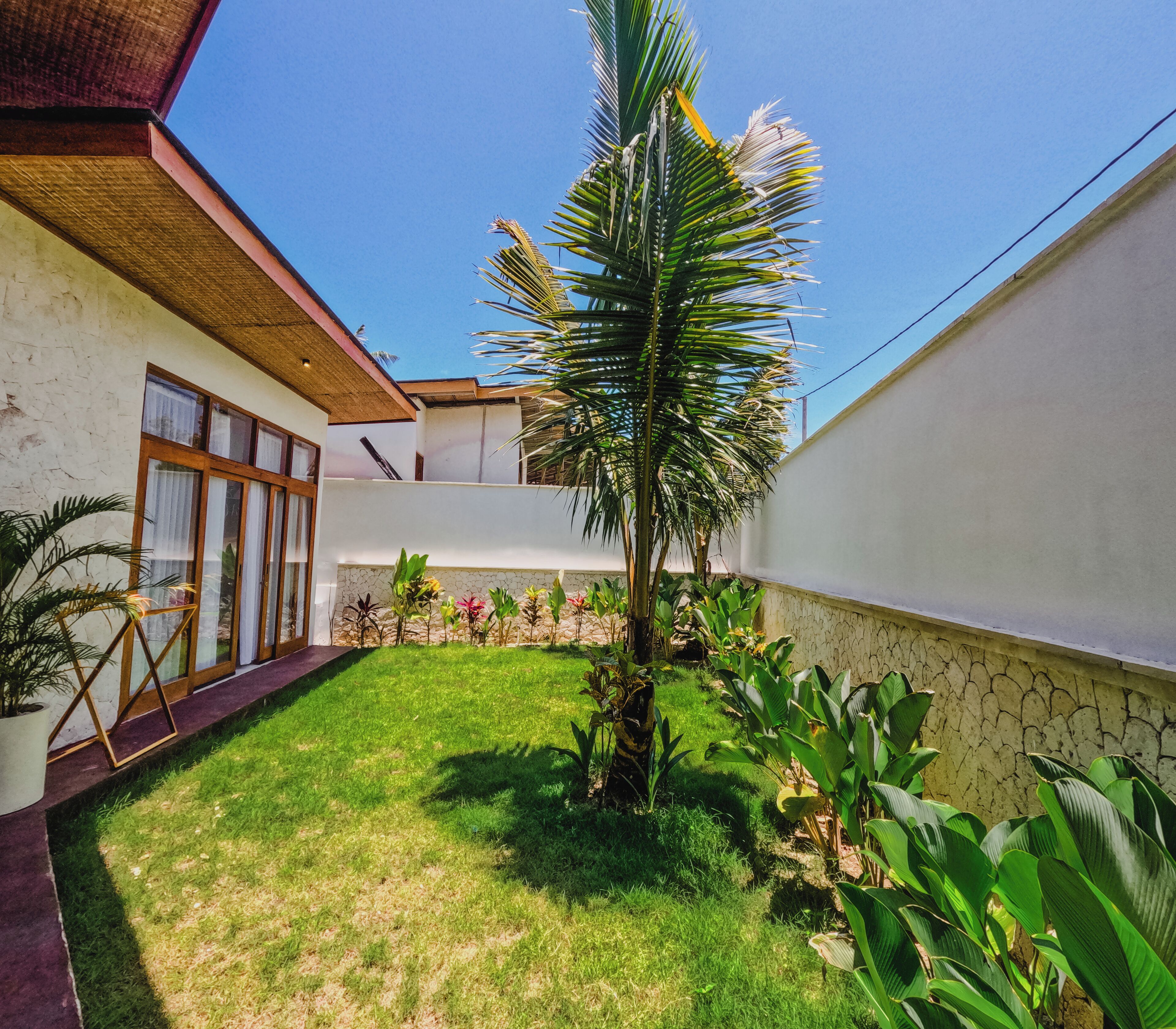Un patio con una palmera, un muro de piedra y un edificio con ventanas amplias y techo de madera.