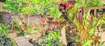 Hotel O Ubud Asri Homestay Near Monkey Forest