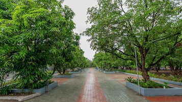 Taman