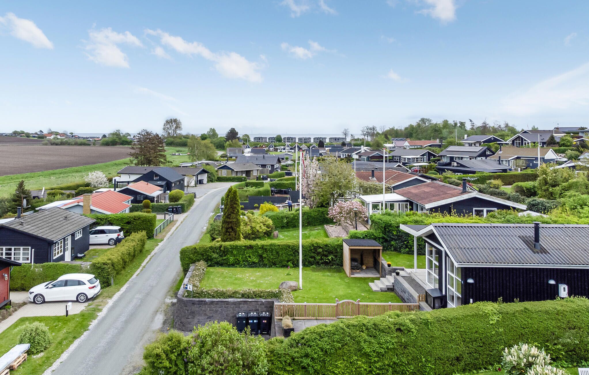 A residential area with houses, a road, and a flagpole.