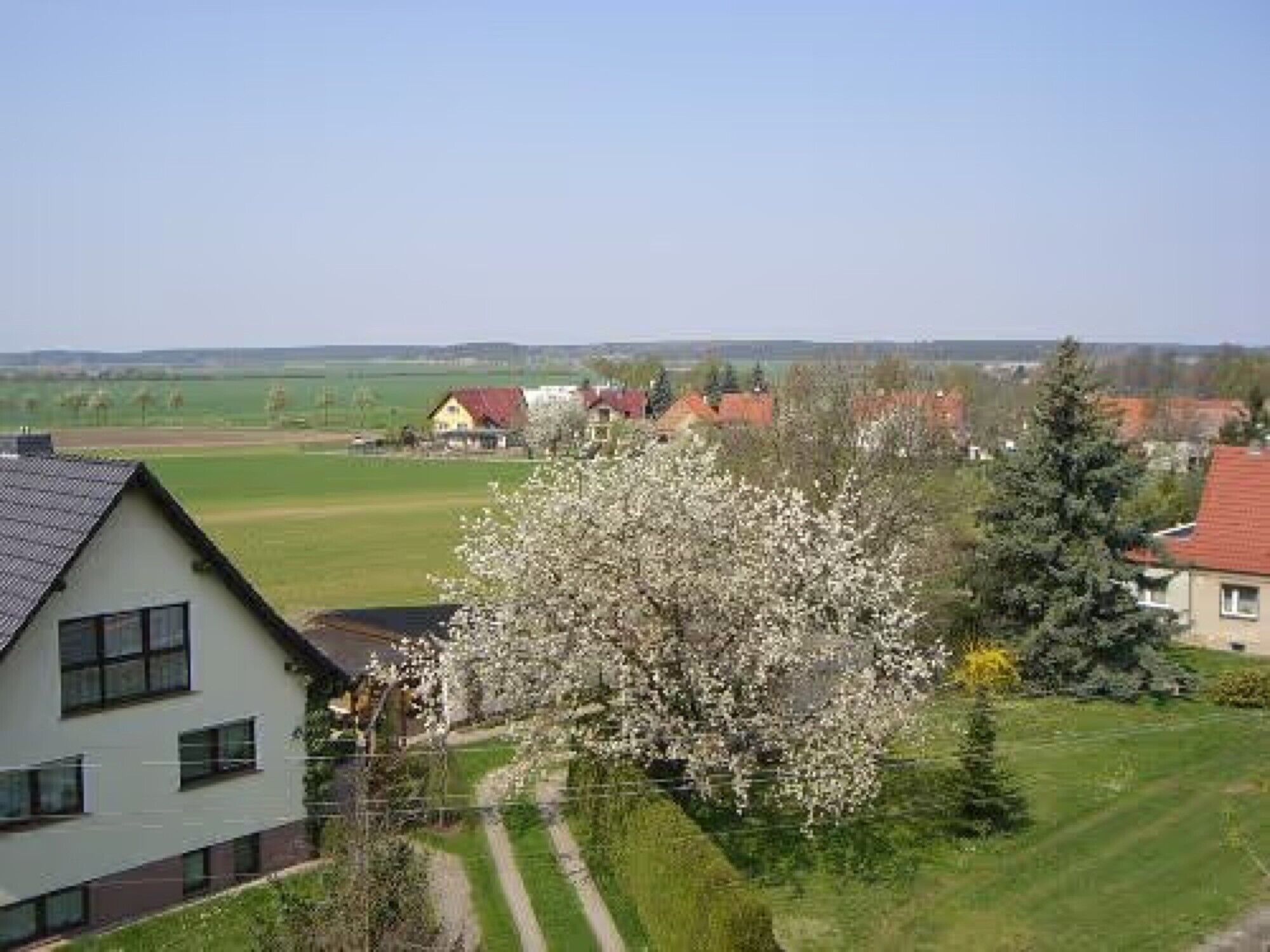 Een woonwijk met huizen, een grote bloeiende boom en een heldere lucht.