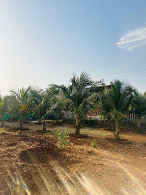 Garden - Shritej By Joy Suites (Karjat)