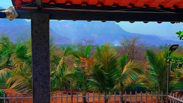 Zona de piscina con vistas a palmeras y montañas.