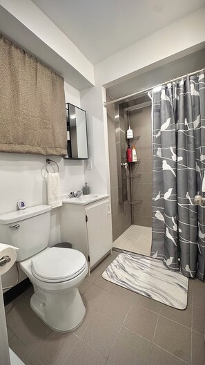 Shower, hair dryer, towels, shampoo