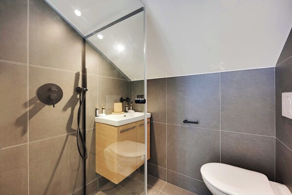 Shower, hair dryer, towels, shampoo