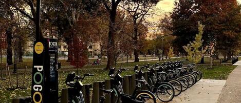 Una estación de bicicletas compartidas con varias bicicletas aparcadas en fila, rodeada de árboles y una acera.