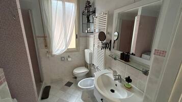 Shower, hair dryer, bidet, towels