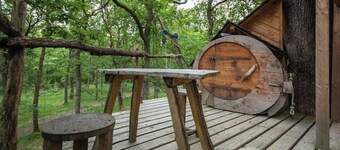 Haona Nui cabin