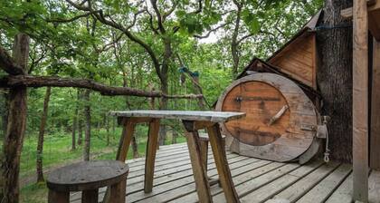 Haona Nui cabin