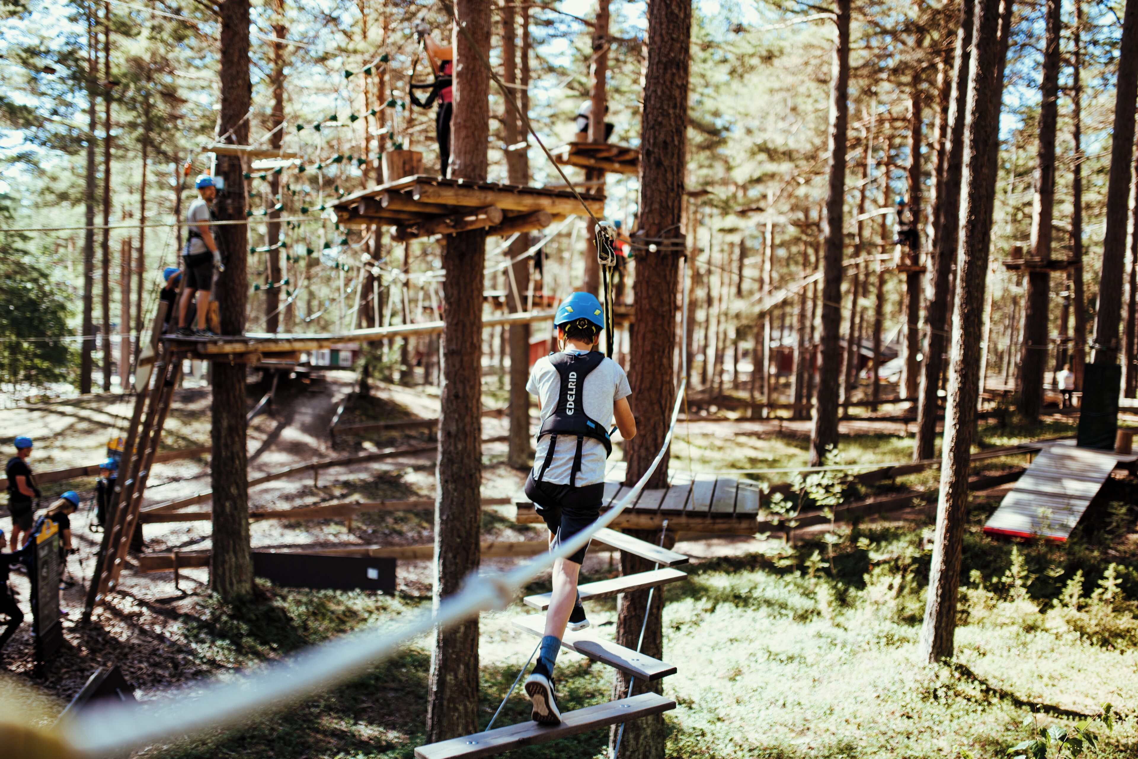 A person navigating a rope course in a forested area.