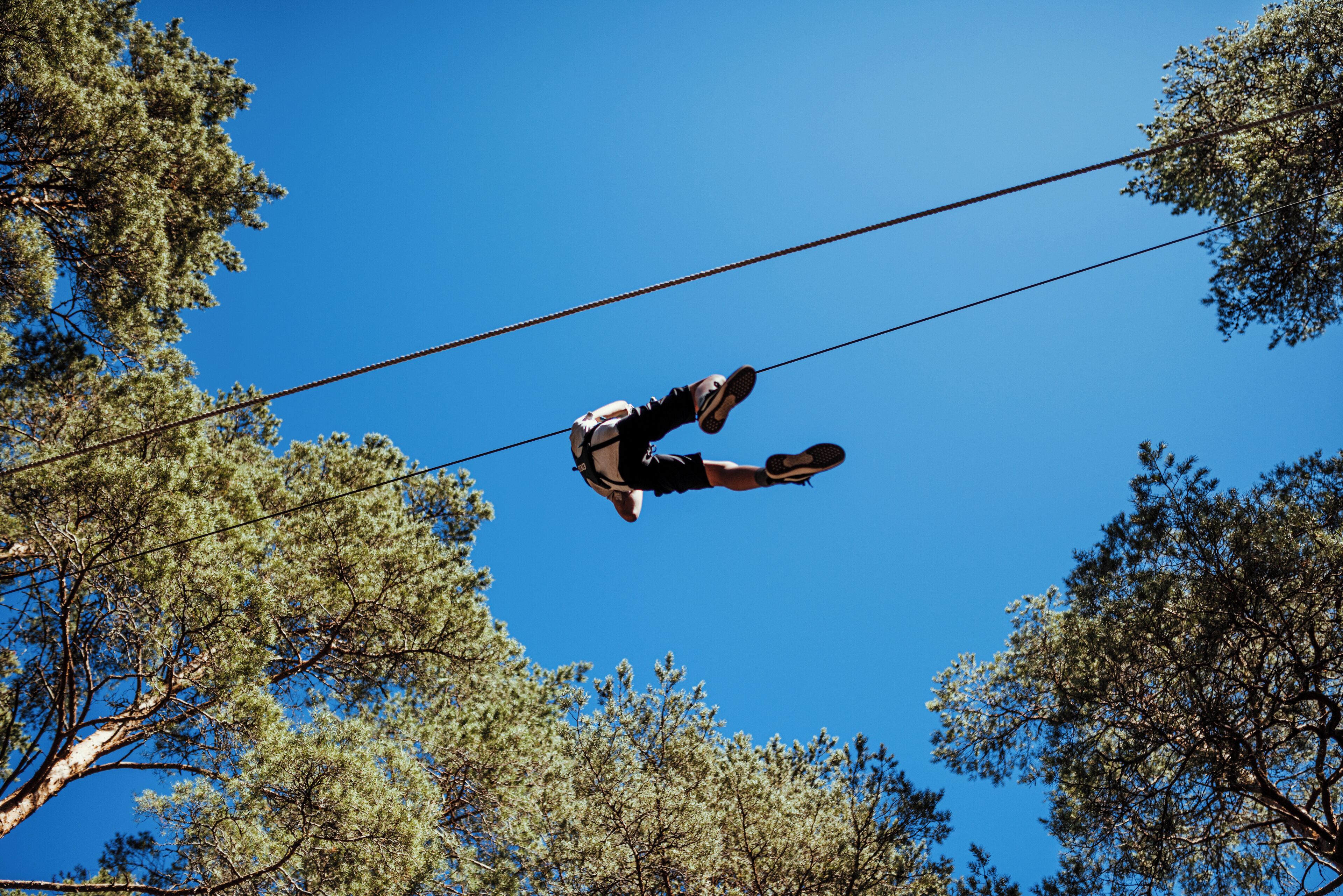 Iemand bungelt met een bungeejump, met een helder uitzicht op omliggende bomen en een blauwe lucht.