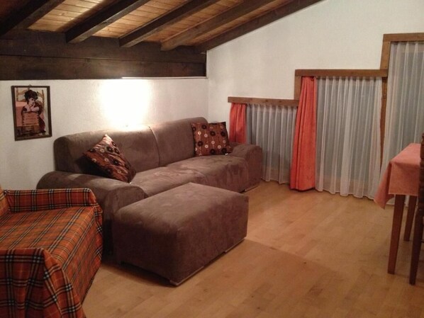 エコノミー アパートメント バルコニー マウンテンビュー | リビング エリア | 薄型テレビ