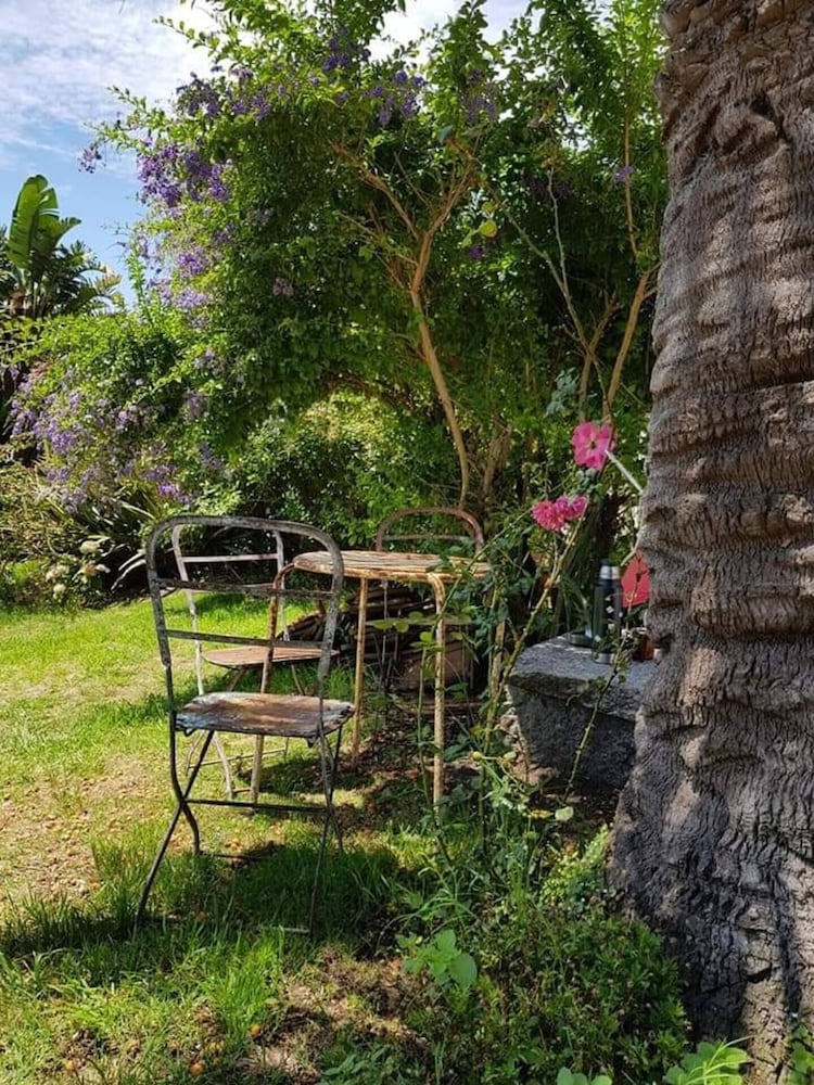 Puerto Las Palmas by null