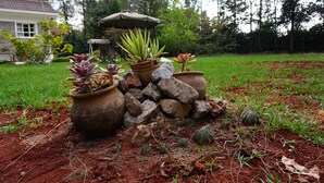 A garden with various potted plants and a small structure.