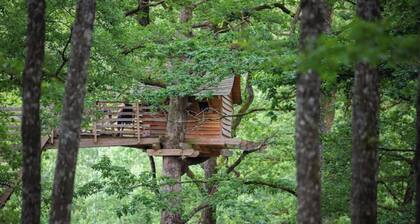 Cabane perchée You like