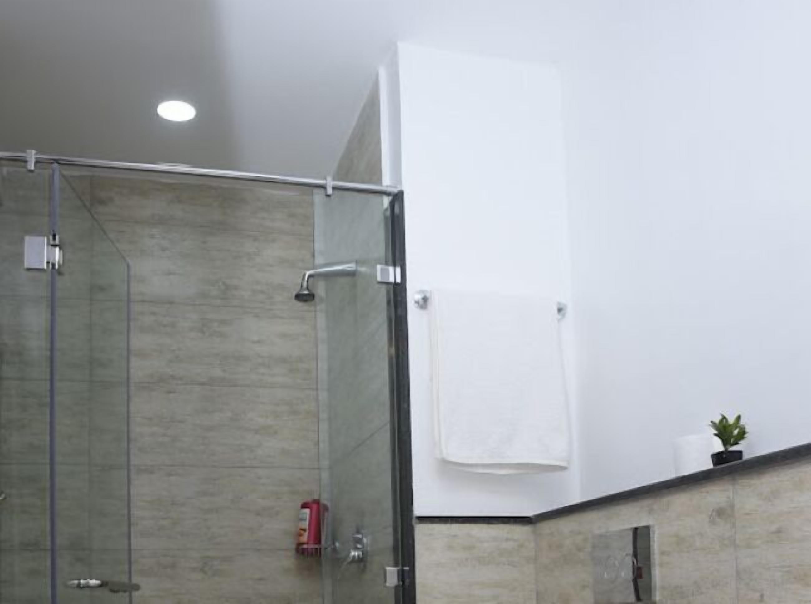 A modern bathroom with a glass shower enclosure, a white towel hanging on the wall, and a small potted plant on the counter.