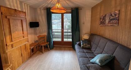 Studio confortable avec balcon, animaux acceptés, Le Lioran