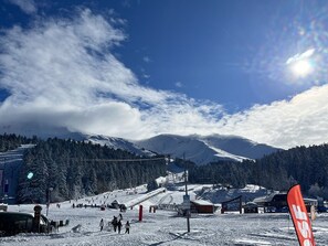Snø- og skisport