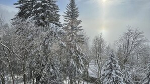 Uklassifisert bilde, 4 av 9, knapp